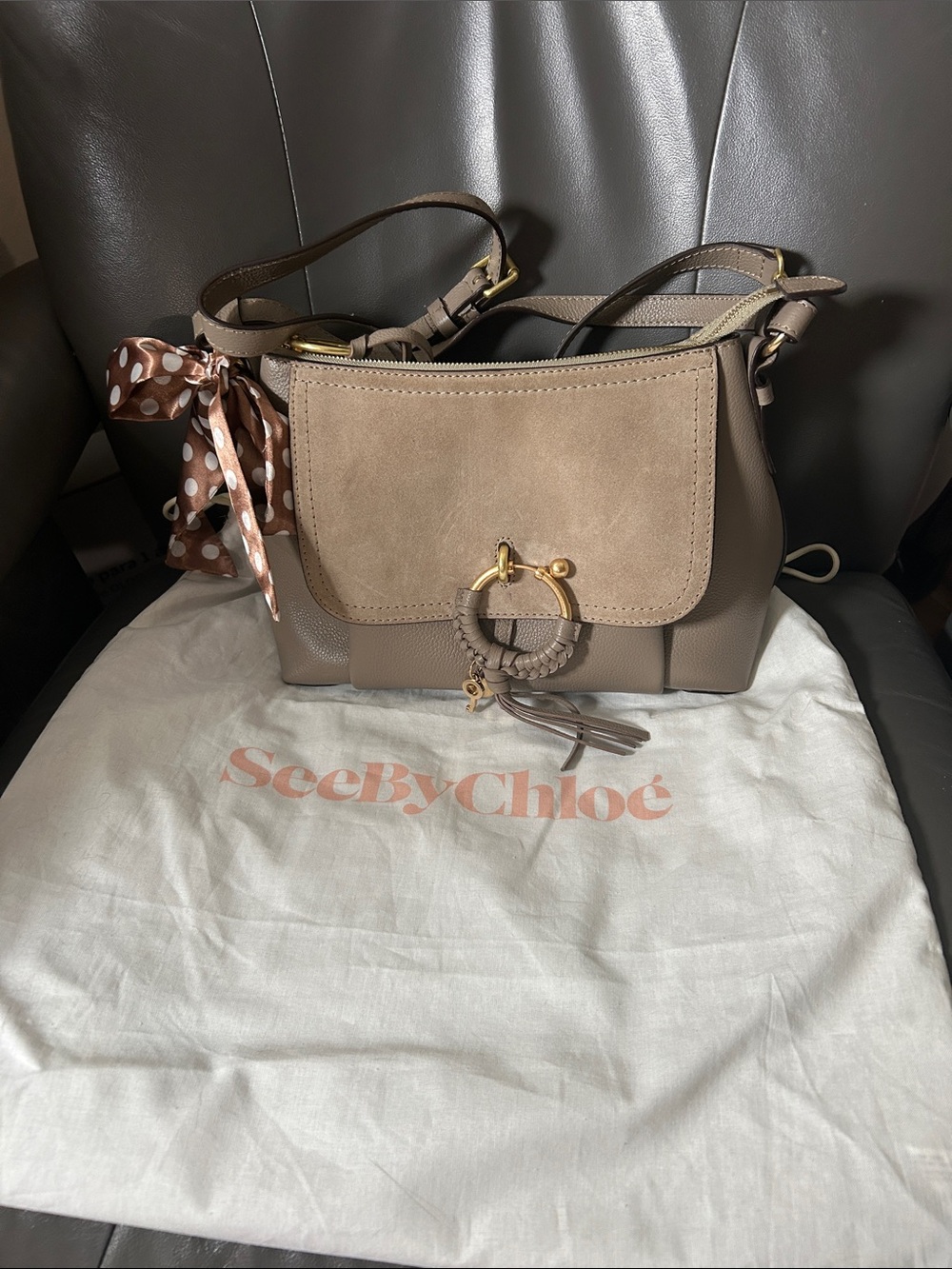 See By Chloé Taupe Suede & Leather Shoulder/Crossbody Bag